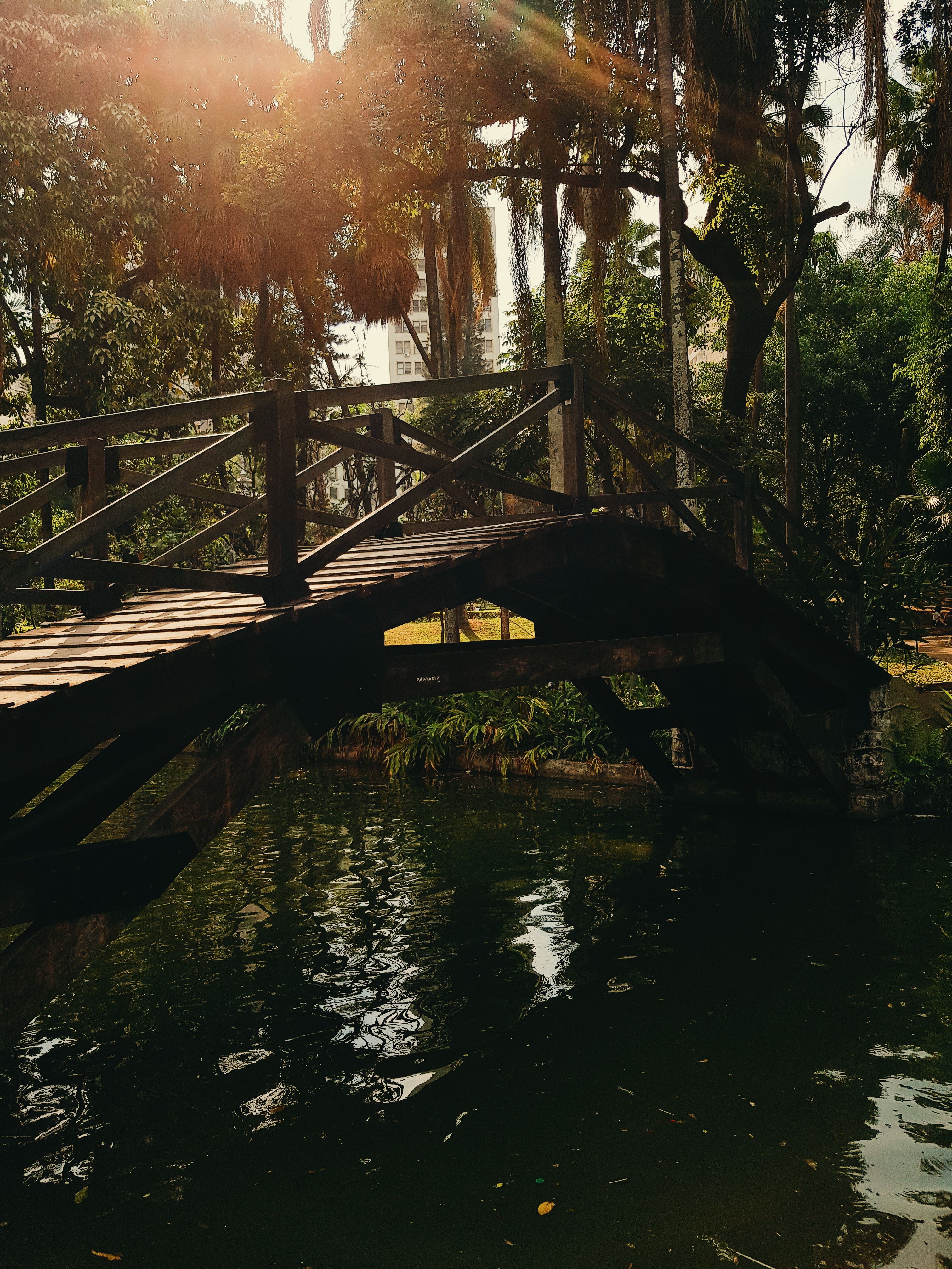 Ponte em meio à natureza